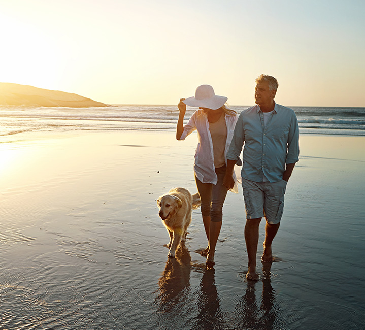 Couple walking on the beach with their dog
